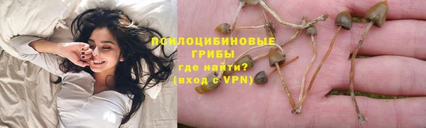 ГАЛЛЮЦИНОГЕННЫЕ ГРИБЫ Бронницы